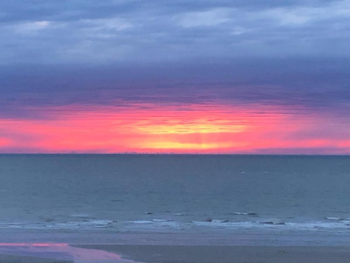 Sea-Senses Com/Blue Moon Apartment Koksijde Bagian luar foto