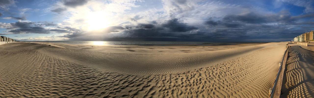 Sea-Senses Com/Blue Moon Apartment Koksijde Bagian luar foto